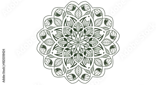 Detailed Floral Mandala Illustration With Intricate Leaf And Petal Patterns On White Background
