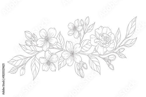 Elegant floral line art illustration with blooming rose and jasmine flowers