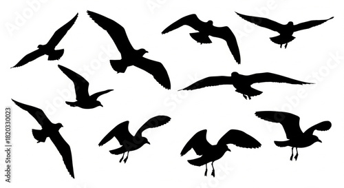 Silhouette of Seagulls Flying Together in a Dynamic Composition
