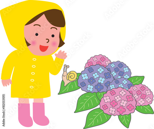 レインコートの女の子と紫陽花
