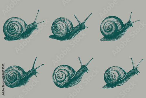 Grunge Halftone snail sketch set for creative design. textured sea clam with trendy dotted effect. y2k stippling print for brutal design vector illustration. Eps 10