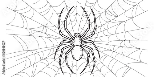 Bare tree silhouette isolated on white background