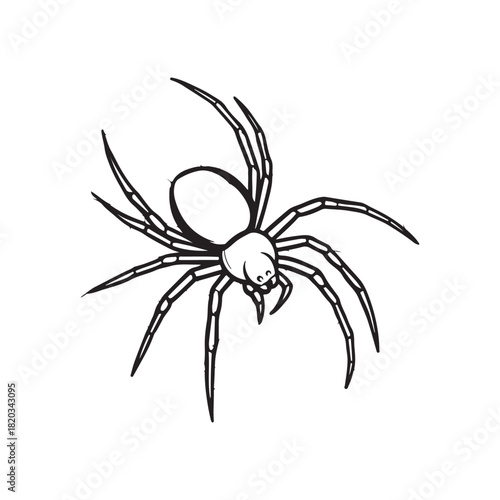 Black and white spider on web line art