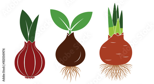 Vibrant spring bulbs with fresh green shoots ready for garden planting