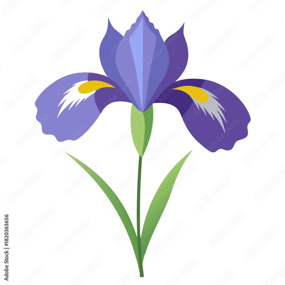 Naklejka premium iris pumila flower on white background