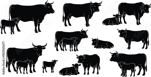 Silhouette collection of cows and calves in various poses, farm animal illustrations for agriculture, livestock design, rural farming graphic elements, vector set