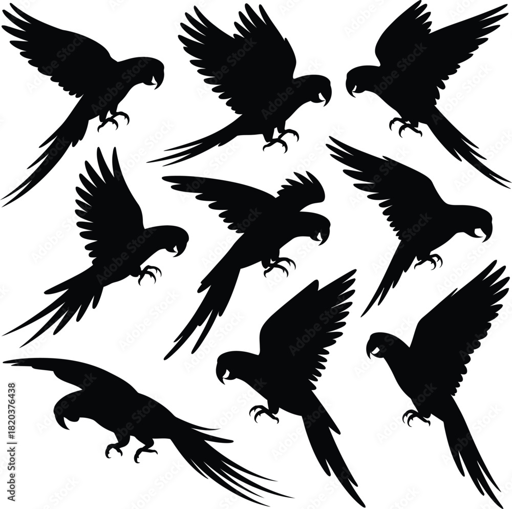 Obraz premium Parrot silhouettes set Vector