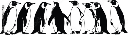 Black and white silhouette of a group of penguins standing together on white background Keywords: penguin, animal, bird