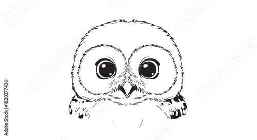 Adorable closeup illustration of a wide-eyed owl with detailed feathers and expressive features.