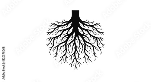Intricate black tree roots spreading outwards on a white background, symbolizing growth and connection.