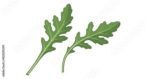 An illustration of two vibrant green arugula leaves, also known as rocket, showcasing their characteristic lobed shape and prominent veins.