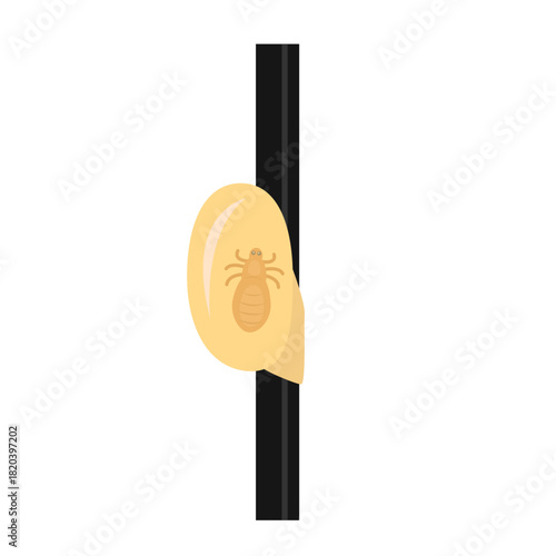 Scratching Head with Lice. Lice infection concept