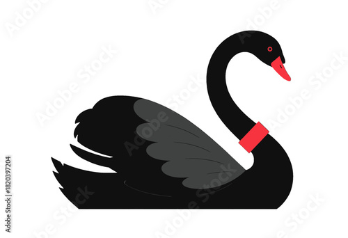 Black swan with red beak and scarf illustration
