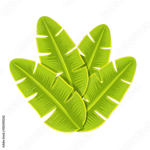 Vibrant Green Banana Leaves with Detailed Textures