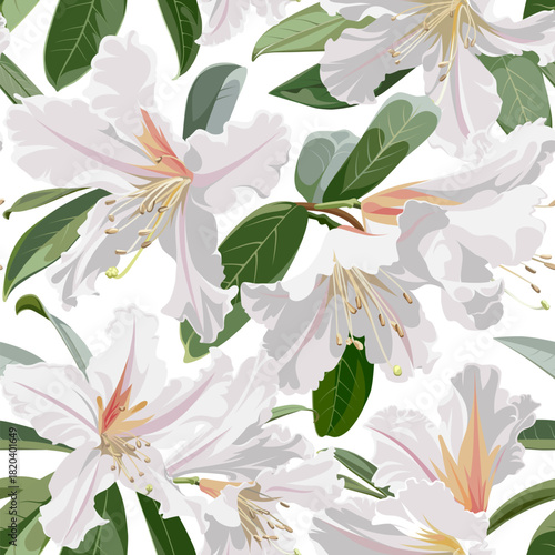 Seamless pattern with beautiful blossoming Rhododendron flowers. White plant isolated on a white background. 