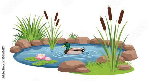 A mallard duck swims serenely in a vibrant garden pond, surrounded by lush green grass, rocky edges, water lilies, and tall cattail plants.