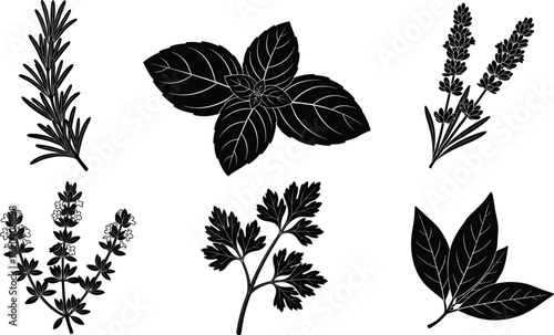 Culinary and Aromatic Herbs Silhouette Vector Set: Rosemary, Basil, Lavender, Thyme, Parsley, and Bay Leaves, Ideal for Cooking, Spice, and Organic Design Graphics