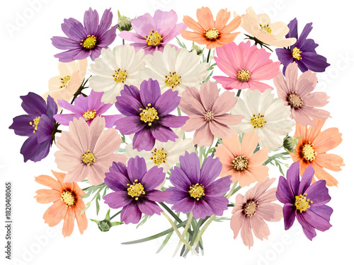 水彩で描いたカラフルなコスモスのブーケ（横長サイズ）