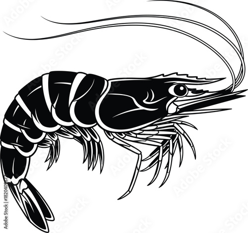 Black and white shrimp vector illustration seafood graphic sea animal eps silhouette