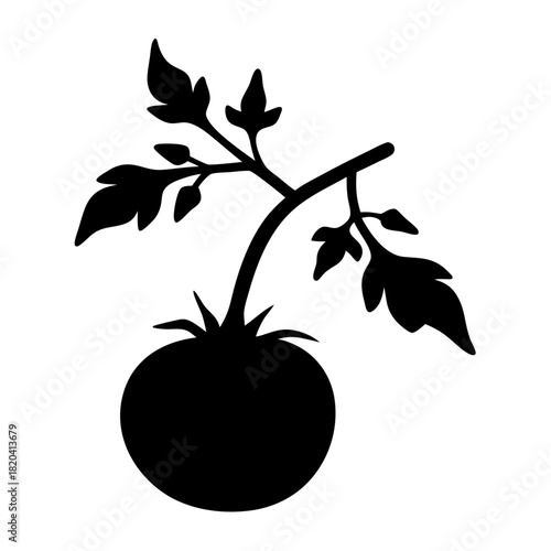 Silhouette of a tomato plant with leaves and stem on white background