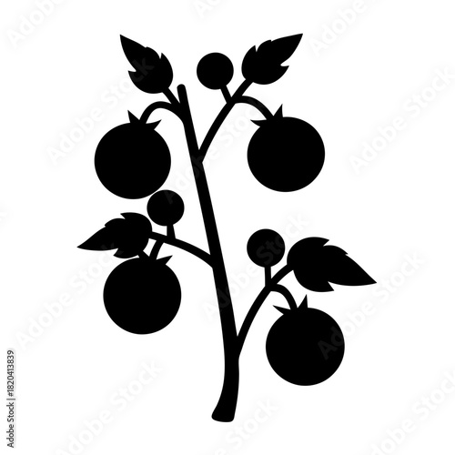 Silhouette illustration of a tomato plant with ripe and unripe tomatoes