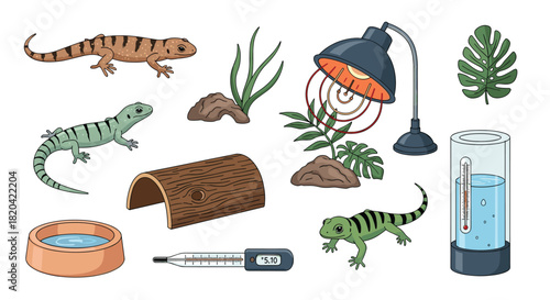 Essential equipment and decor for reptile pet care, featuring various lizards, a heat lamp, thermometers, and habitat accessories.