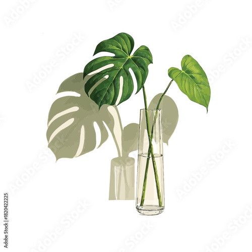 Print  Plant in Clear Glass Vase with Clean Lines and Shadows - Elegant Indoor Decor Illustration