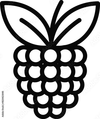 Raspberry vector icon outline illustration fresh fruit berry design art eps silhouette