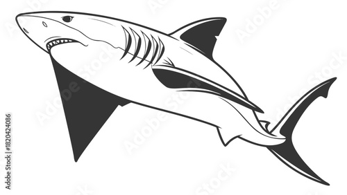 Powerful shark swimming with sharp teeth, iconic sea predator for logos and wildlife designs, originally vector graphic