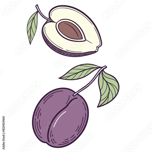 Fresh plum halves with leaves add a colorful, healthy touch for summer fruit themes and food designs