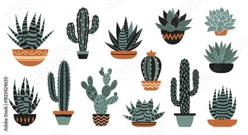 Collection of various potted cacti and succulents featuring a modern flat design style on a clean white background.