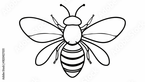 Detailed line art of a bee offers creative possibilities for coloring books and design projects