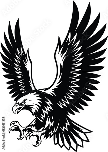 Eagle vector illustration black and white soaring bird of prey design eps silhouette