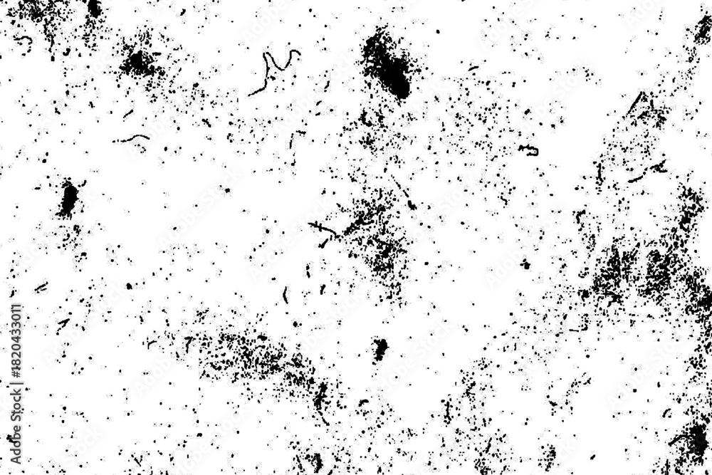 Fototapeta premium Distressed grunge texture with black dust particles and specks on a white background