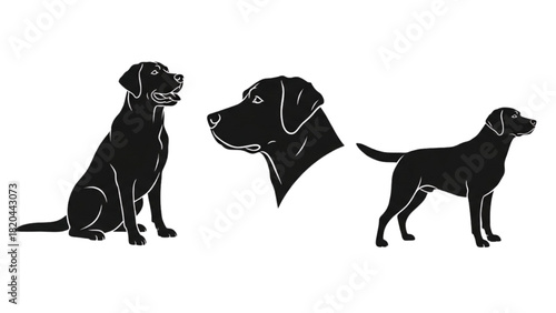 Elegant Labrador Dog Silhouette Collection for Graphic Design Projects