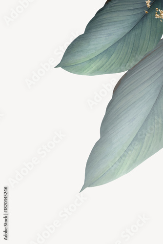 Leaves border clipart, beige background vector