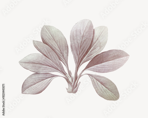 Autumn leaves collage element vector