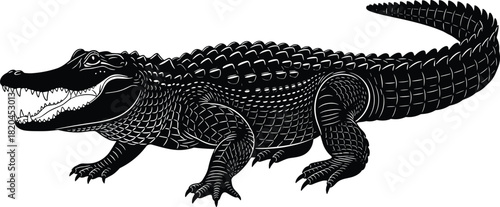 Detailed alligator illustration, fierce reptile artwork, black and white crocodile design, wildlife predator graphic, dangerous animal silhouette drawing for stock use
