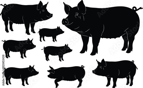 Silhouette collection of farm pigs in various poses, domestic livestock illustration set, black pig animal shapes, agriculture design elements, vector artwork