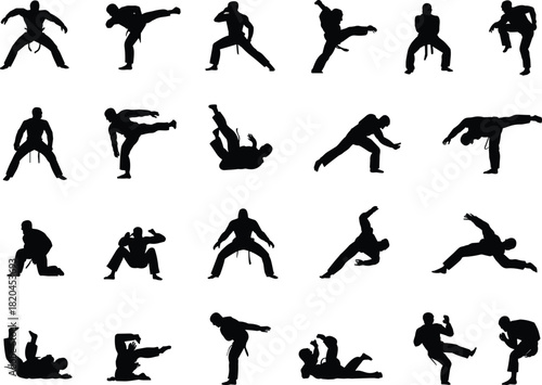 Silhouettes of martial artists practicing dynamic combat moves, kicks, strikes, ground techniques, self-defense poses, training action illustration for creative design projects