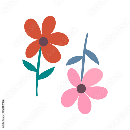 colorful flower on a white background