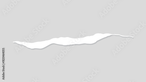 White torn paper strip on a light gray background, element vector