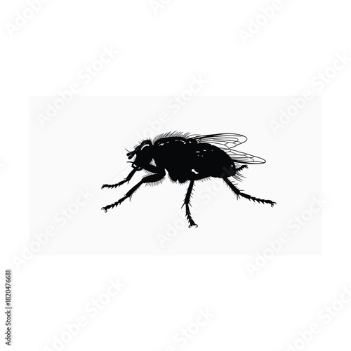 Stylized black and white illustration of an insect head with detailed compound eyes