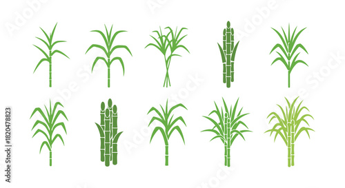 Sugar cane vector icons set
