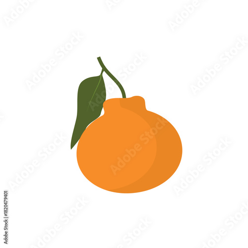Set of fresh tangerine or mandarin fruits isolated on white background. Vector illustration.