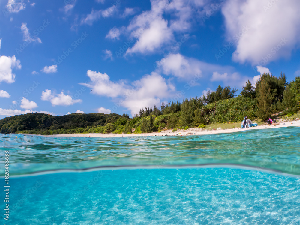 Fototapeta premium 美しい白砂ビーチの半水面撮影。 美しいサンゴ礁と熱帯魚の群れ。 安室島沖縄県 島尻郡慶良間諸島座間味島-2025 サンゴの産卵があり卵が漂う。沖縄本島から40km西方の諸島。30以上の島嶼群全体が国立公園に指定。珊瑚礁の青い海と白い砂浜は世界屈指の美しさ。貴重な動植物が多数生息。 