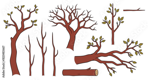 Vector tree illustration set of tree trunks branches and tree leaves