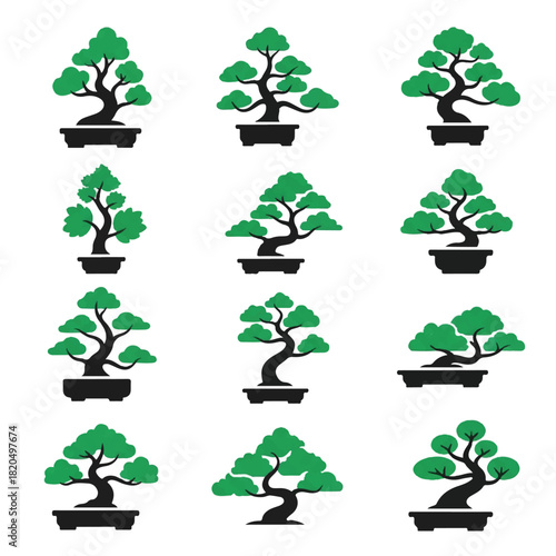 Symmetry and Arrangement of Nine Bonsai Trees in Black Pots on White Background – Top-Down View
