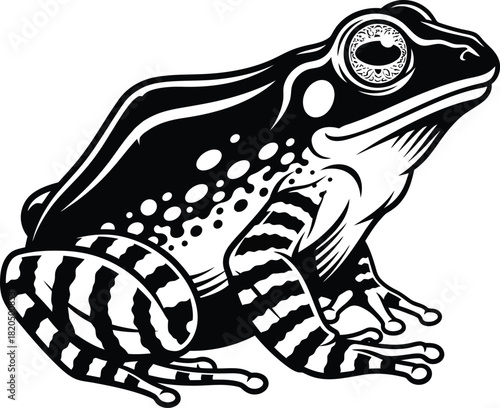 Black and white frog illustration amphibian art vector image design eps silhouette