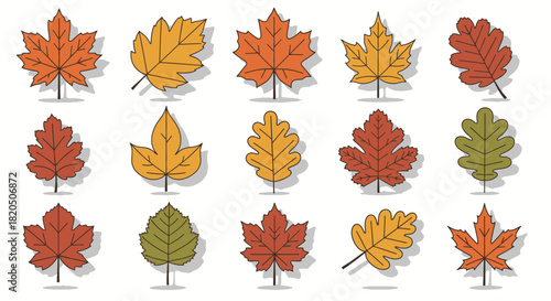 A collection of various autumn leaves in different shapes and colors, featuring a flat design with outlines and shadows.